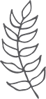 Icon leaf