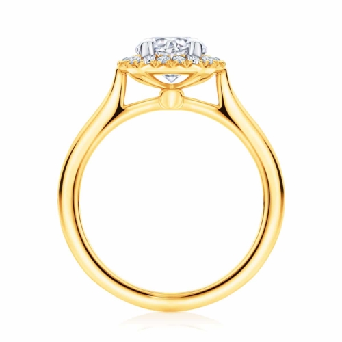 Round Halo Engagement Ring Yellow Gold | Ariel (Plain Band)