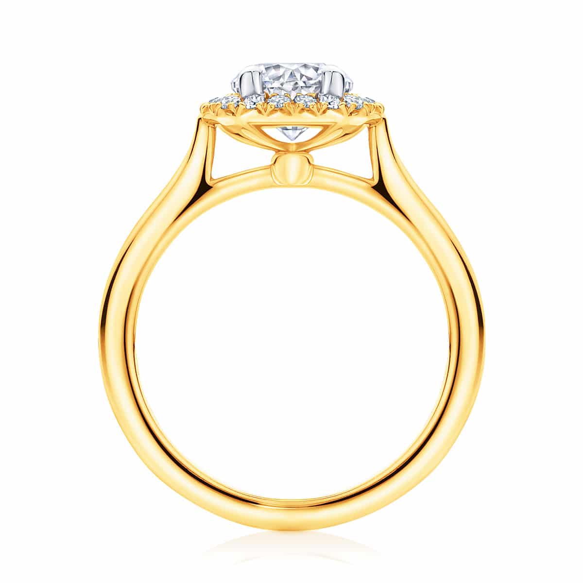 Round Halo Engagement Ring Yellow Gold | Ariel (Plain Band)