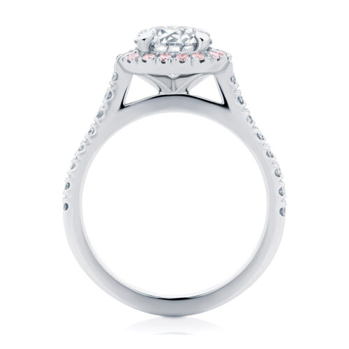 Round Halo Engagement Ring Platinum | Rosetta (Brilliant) IV