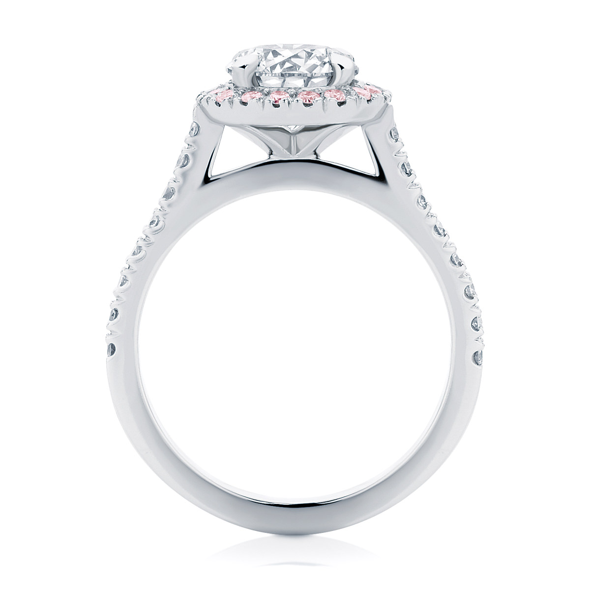 Round Halo Engagement Ring Platinum | Rosetta (Brilliant) IV