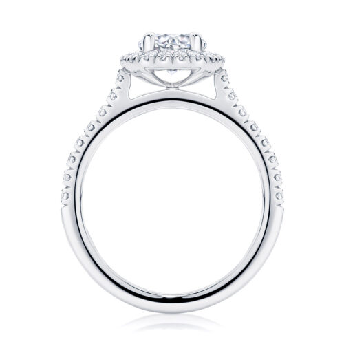 Round Halo Engagement Ring Platinum | Rosetta (Brilliant)