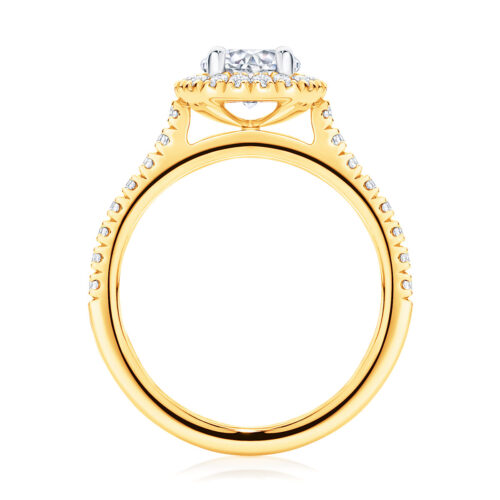 Round Halo Engagement Ring Yellow Gold | Rosetta (Brilliant)