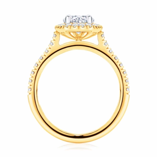 Pear Halo Engagement Ring Yellow Gold | Rosetta (Pear)