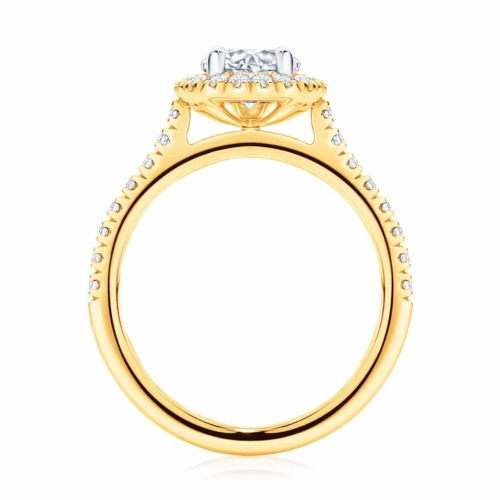 Pear Halo Engagement Ring Yellow Gold | Rosetta (Pear)