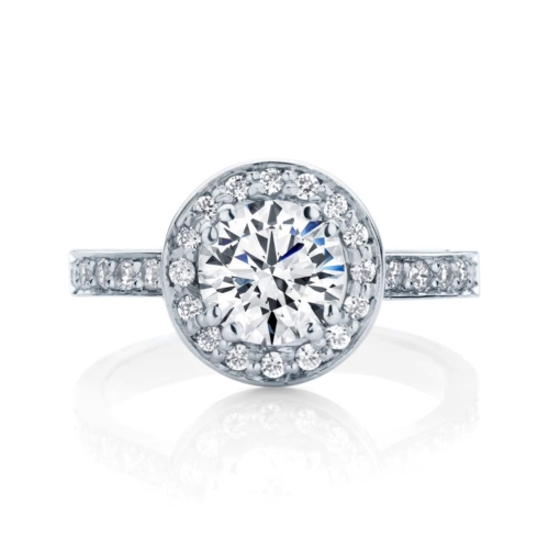 Round Halo Engagement Ring Platinum | Serenity (Brilliant)