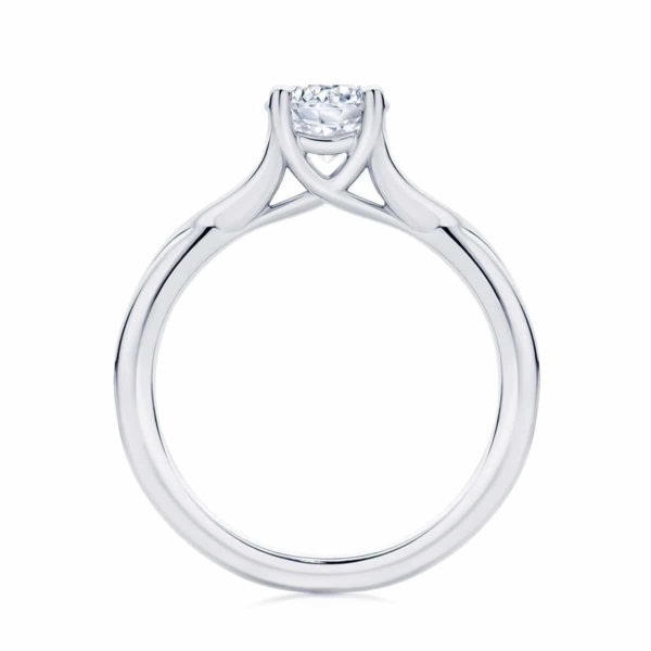 Round Solitaire Engagement Ring White Gold | Twist