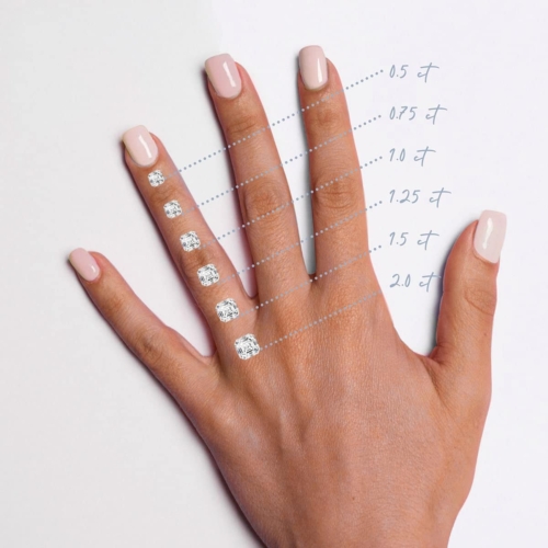Aurelia (Asscher)