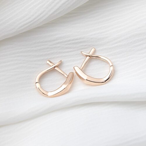 Faceted Hoop Earrings