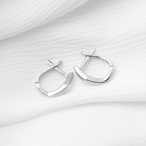 Faceted Hoop Earrings