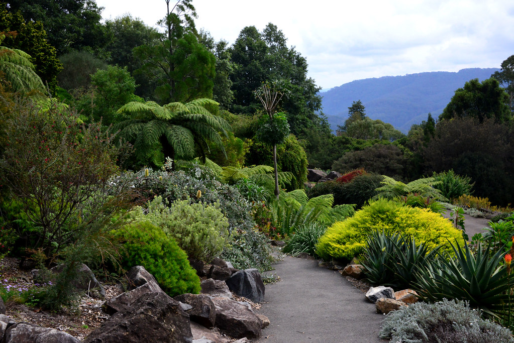 blue mountains