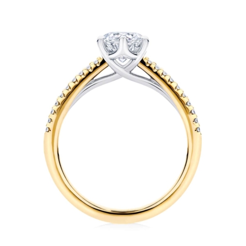 Aurelia (Marquise)
