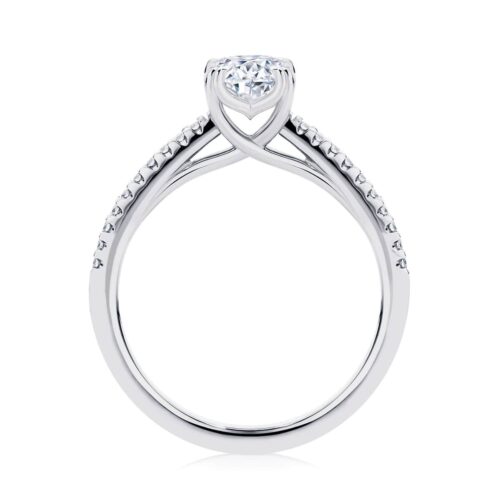 Round Diamond with Side Stones Ring in Platinum | Aurelia (Round)