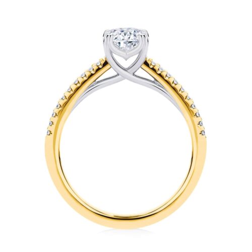 Round Diamond with Side Stones Ring in Yellow Gold | Aurelia (Round)