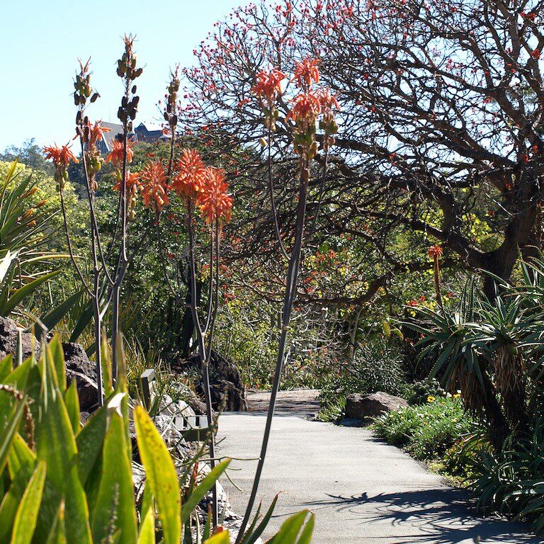 Spots to Propose in Brisbane