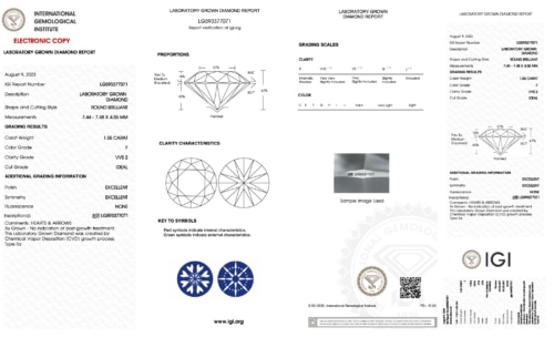 IGI Certificate