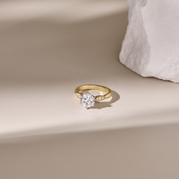 18ct White Gold Setting Holding a Round Diamond, Set in an 18ct Yellow Gold Millgrain Band